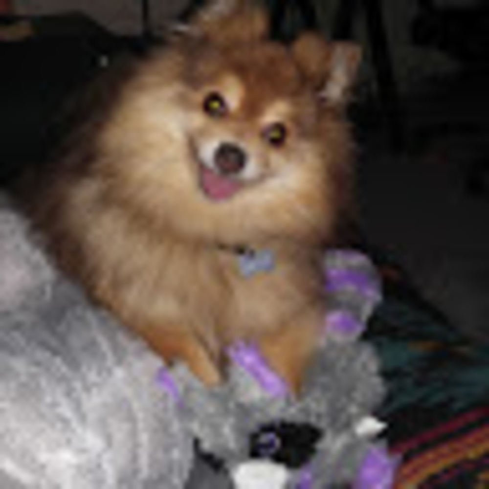 Meet your Posher, Kris